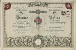 Budapest 1935. "Salgó-Tarjáni Kőszénbánya Részvény-Társulat" huszonöt részvénye egyben öss...