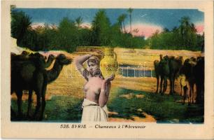 Syrie, Chameaux a lAbreuvoir / Syrian folklore, naked girl with camles