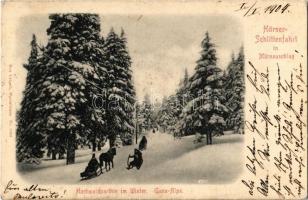 1904 Mürzzuschlag, Hörner-Schlittenfahrt, Hochwaldparthie im Winter, Ganz-Alpe / horse-drawn sleds, sledding, winter sport (EK)