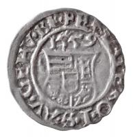 1559K-B Denár Ag "I. Ferdinánd" (0,48g) T:1-,2
Hungary 1559K-B Denar Ag "Ferdinand I...