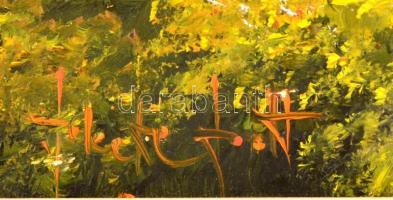 Fekete Zsolt (1964-): Nyári hangulat. Olaj, farost, jelzett, keretben, 20×30 cm