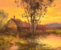 Bán Tibor (1963): Tanya. Olaj, farost, jelzett, szép keretben, 20×25 cm