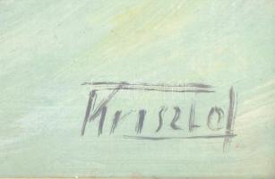 Krisztof György (?- ): Múló idő olaj, farost, jelzett, keretben, 27×33 cm