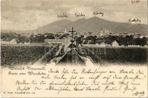 1900 Versec, Vrsac; látkép a kápolnától, szőlőskertek / view from the chapel, vineyards