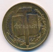 1938. "Szálasi Ferenc" Br emlékérem. Szign.: Pincés I. (Pincés Puder István?) (27mm) T:2 k...