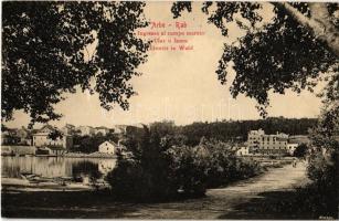 1911 Rab, Arbe; Ulaz u sumu / Einritt in Wald / Ingresso al campo marzio