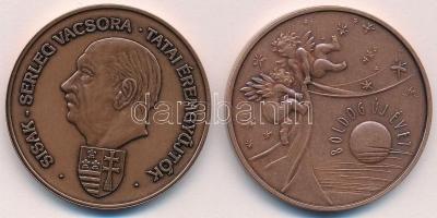 2004. "Naptárérem" Br emlékérem, hátoldalán "Sisak-serleg vacsora - Tatai Éremgyűjtők...