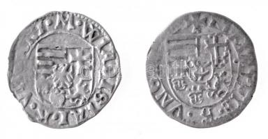 1489K-P Denár Ag "I. Mátyás" (0,5g) + 1498-1503K-h Denár Ag "II. Ulászló" (0,46g...