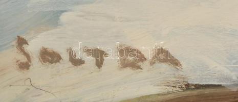 Soltra Elemér (1922-2013): Vízparton. Olaj, farost, jelzett, üvegezett keretben, 47×75 cm