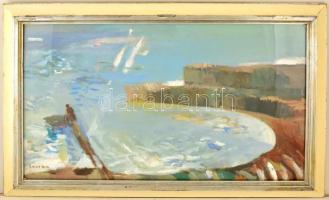 Soltra Elemér (1922-2013): Vízparton. Olaj, farost, jelzett, üvegezett keretben, 47×75 cm
