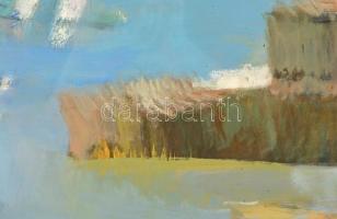 Soltra Elemér (1922-2013): Vízparton. Olaj, farost, jelzett, üvegezett keretben, 47×75 cm