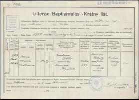A Saághy-Ruszek család hagyatékából: bizonyítvány, anyakönyvi kivonat, egyéb iratok, stb., egy zacsk...