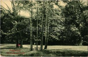 1917 Magyaróvár, Mosonmagyaróvár; Főhercegi park részlete. W.L. Bp. (EK)