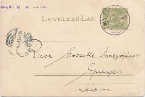 1902 Az Ezeregyéjszaka meséi: 1. Scheherezádé / One Thousand and One Nights / Künstlerkarten Serie N...