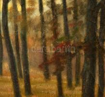 Katona jelzéssel: Erdőrészlet. Olaj, vászon (hibás), 70×80 cm