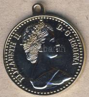 Nagy-Britannia DN "II.Erzsébet" modern aranyozott zseton T:1 f