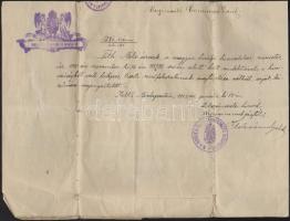 1896 Tartalékos hadnagyi kinevezés, rajta későbbi hivatalos feljegyzésekkel