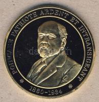 Franciaország 1973. "Franciaország története-Poincare" aranyozott emlékérem T:BU