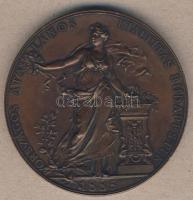 1885. "Országos Általános Kiállítás" nagyalakú Br emlékérem. Szign. S.Schwart T:2