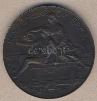 1896. "Ezredéves Országos Kiállítás - Közreműködők érme" nagyalakú Br emlékérem. Szign. Beck Ö. Fülöp T:2