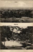 1915 Pákozd, Káptalani park részlet, látkép, tó