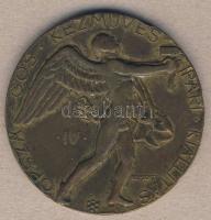 1932. "Országos Kézművesipari Kiállítás - Országos Ipar-Egyesület" nagyalakú Br díjérem. S...