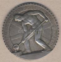 1921. "Országos Vas- és Gépipari Kiállítás-Budapest" nagyalakú Fe emlékérem. Szign. Pásztor J. T:2