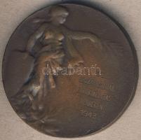 1943. "Országos Diák Fotokiállítás-Debrecen" Br emlékérem T:2