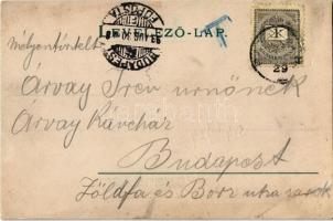 1899 Besztercebánya, Banská Bystrica, Neusohl; Kaufmann J. Hungária Szállodája, régi bástya. Krausz ...