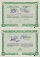 Budapest 1992. "Ramovill Szolgáltató és Kereskedelmi Részvénytársaság" részvénye 10.000Ft-...