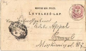 1897 (Vorläufer!) Szeged, Posta, Városháza, Tisza. Art Nouveau, floral, litho (gyűrődés / crease)