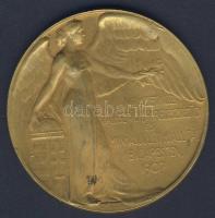 1907. "Nemzetközi Balesetügyi, Iparegészségügyi és Munkásjóléti Kiállítás" aranyozott Br emlékérem. Szign. Juhász T:2