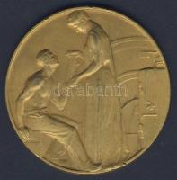 1907. "Nemzetközi Balesetügyi, Iparegészségügyi és Munkásjóléti Kiállítás" aranyozott Br e...