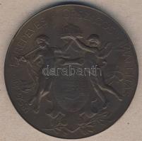 1896. "Ezredéves Országos Kiállítás - Kiállítási érem" nagyalakú Br emlékérem. Szign. Beck Ö. Fülöp T:2