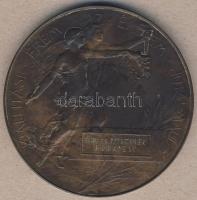 1896. "Ezredéves Országos Kiállítás - Kiállítási érem" nagyalakú Br emlékérem. Szign. Beck...