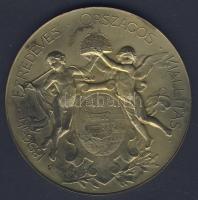 1896. "Ezredéves Országos Kiállítás - Kiállítási érem" nagyalakú, aranyozott Br emlékérem. Szign. Beck Ö. Fülöp T:2