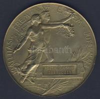 1896. "Ezredéves Országos Kiállítás - Kiállítási érem" nagyalakú, aranyozott Br emlékérem....