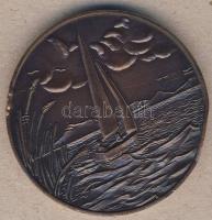 1987. "40 éves a balatoni Idegenforgalmi Hivatal" Br emlékérem T:2