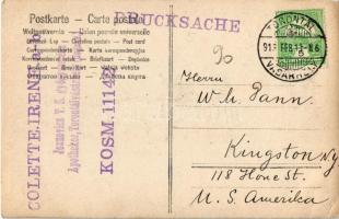 1913 Torontálvásárhely, Develák, Debelják, Debeljaca; Joanovics T.S. gyógyszerész gyógyszertára / ph...