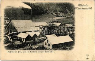 1901 Romoly, Romuli (Máramaros); Hoffmann-féle turbina és gőzfűrész telep. Kaufmann Ábrahám kiadása / sawmill (EK)
