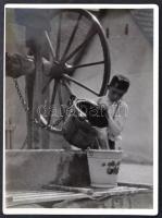 Dulovits Jenő (1903-1972): Tiszta víz. pecséttel jelzett vintage fotó 12x9 cm