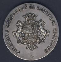 1907. "Országos Műkedvelő és Háziipari Kiállítás-Temesvár" ezüstözött Br emlékérem T:2