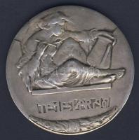 1907. "Országos Műkedvelő és Háziipari Kiállítás-Temesvár" ezüstözött Br emlékérem T:2