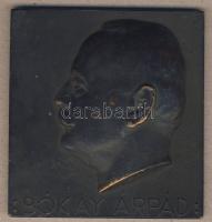 DN "Bókay Árpád" szögletes Br kisplasztika T:2