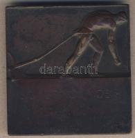 DN "Bókay Árpád" szögletes Br kisplasztika T:2