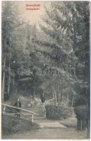 1916 Stószfürdő, Stoósz-fürdő, Kúpele Stós; sétány részlet / promenade (r)