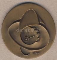 1973. "25 éves az Újító Mozgalom" Br emlékplakett T:2