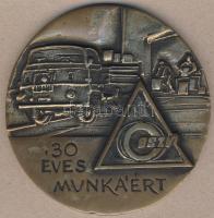 DN "Belkereskedelmi Szállítási Vállalat-Hűségért és munkáért 30év" nagyalakú Br emlékplakett T:2