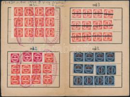 1919 MSzDP párttagkönyv