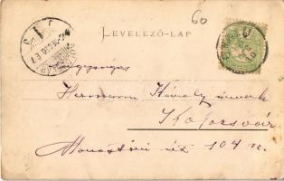 1905 Gyalu, Gilau; Rákóczi várkastély. Kiadja Betegh Márton / castle (EK)